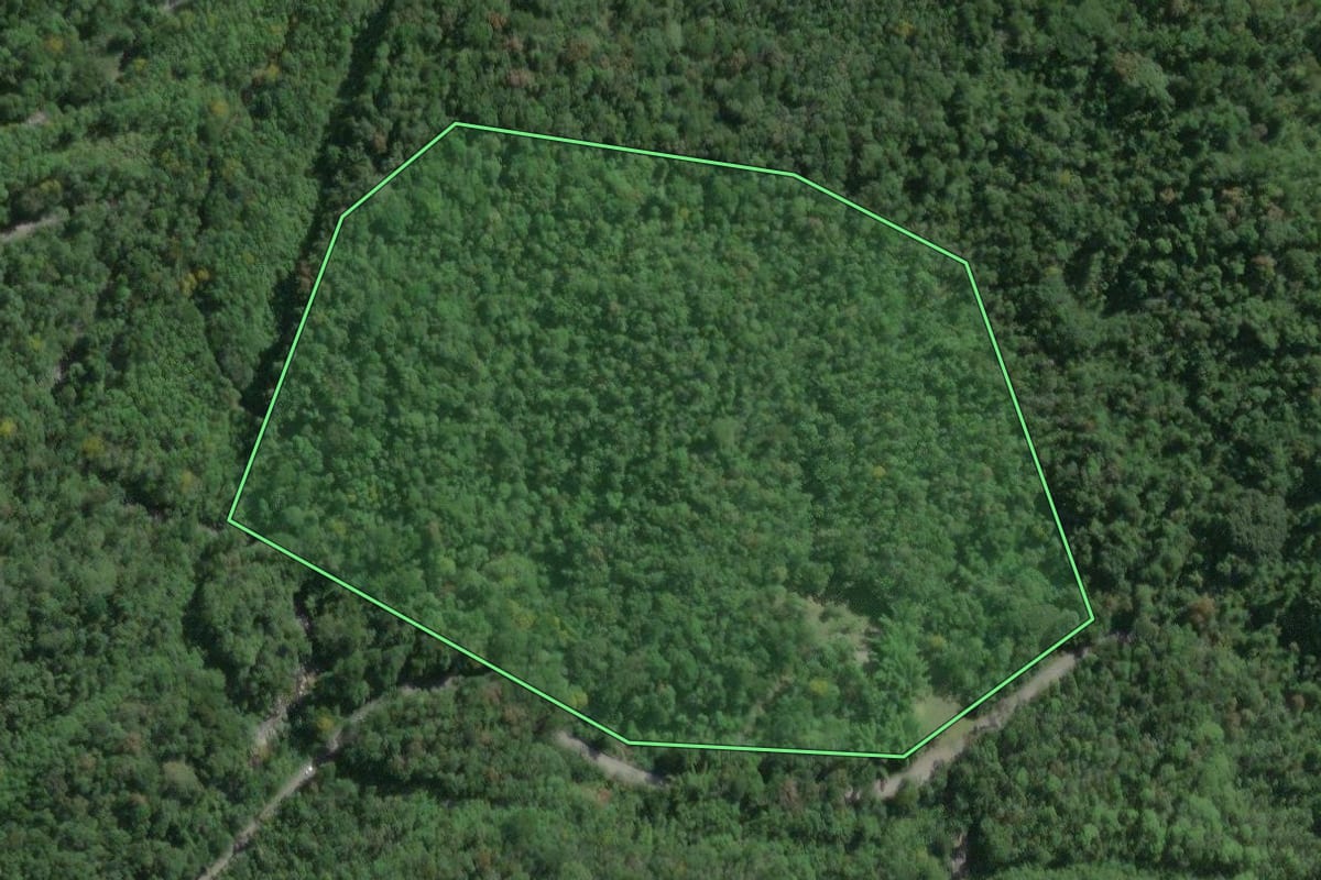 Imagem de satélite do imóvel rural em Tapiraí (SP), com o contorno declarado no CAR desenhado por cima.