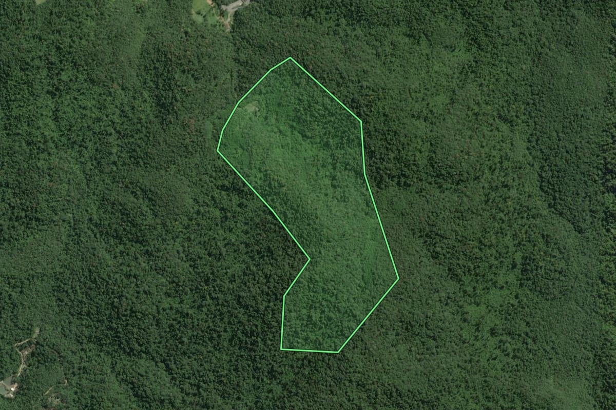 Imagem de satélite do imóvel rural em Tapiraí (SP), com o contorno declarado no CAR desenhado por cima.