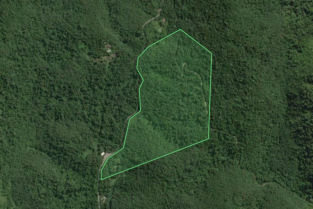 Imagem de satélite do imóvel rural em Tapiraí (SP), com o contorno declarado no CAR desenhado por cima.