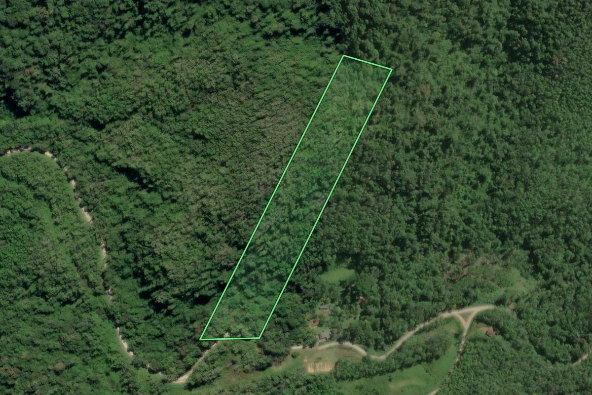 Imagem de satélite do imóvel rural em Tapiraí (SP), com o contorno declarado no CAR desenhado por cima.