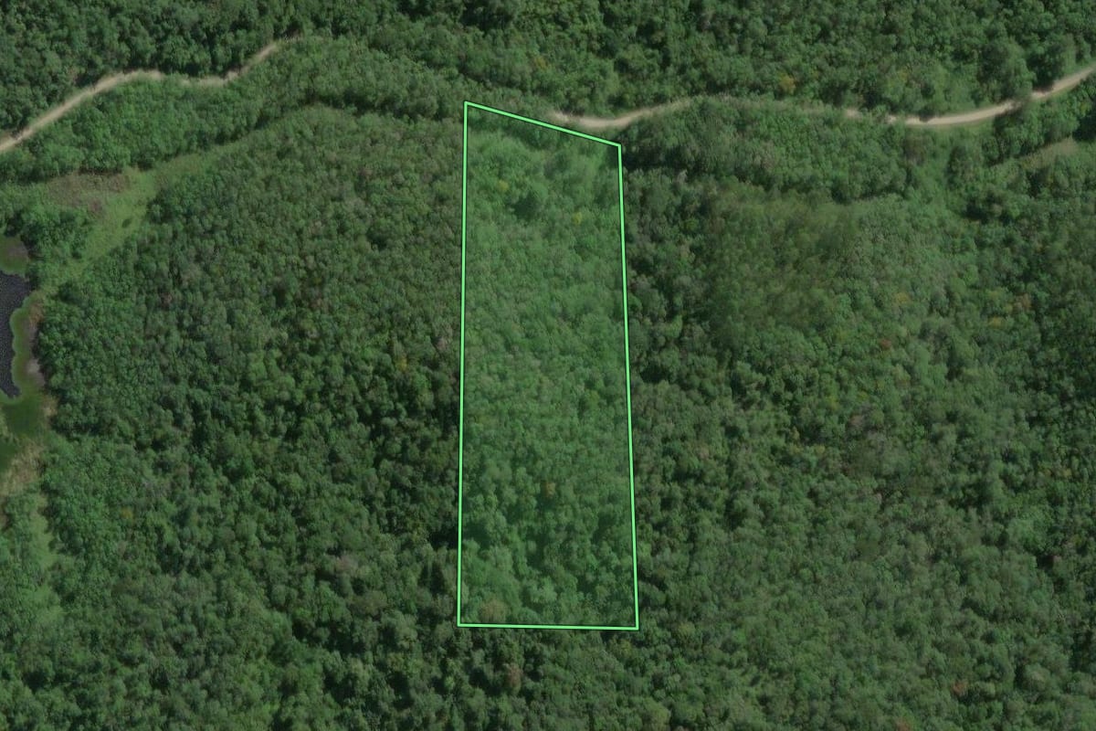 Imagem de satélite do imóvel rural em Tapiraí (SP), com o contorno declarado no CAR desenhado por cima.