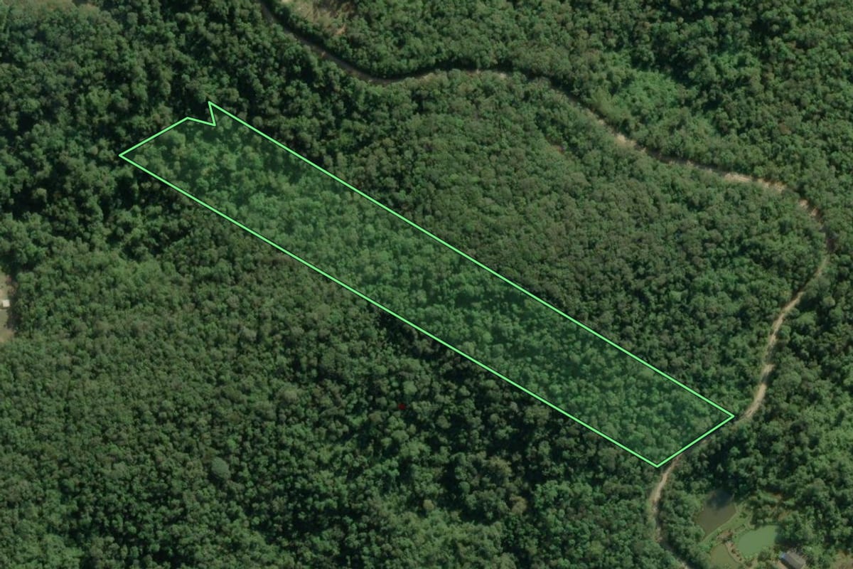 Imagem de satélite do imóvel rural em Tapiraí (SP), com o contorno declarado no CAR desenhado por cima.