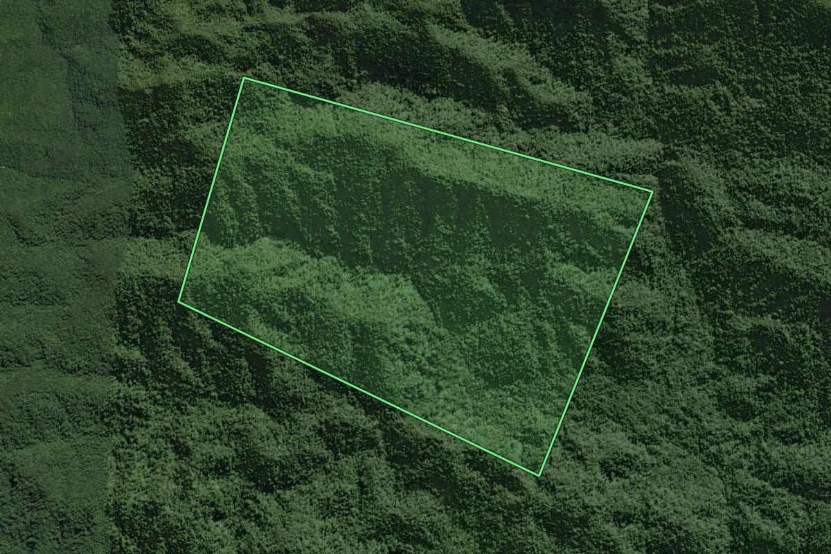 Imagem de satélite do imóvel rural em Tapiraí (SP), com o contorno declarado no CAR desenhado por cima.