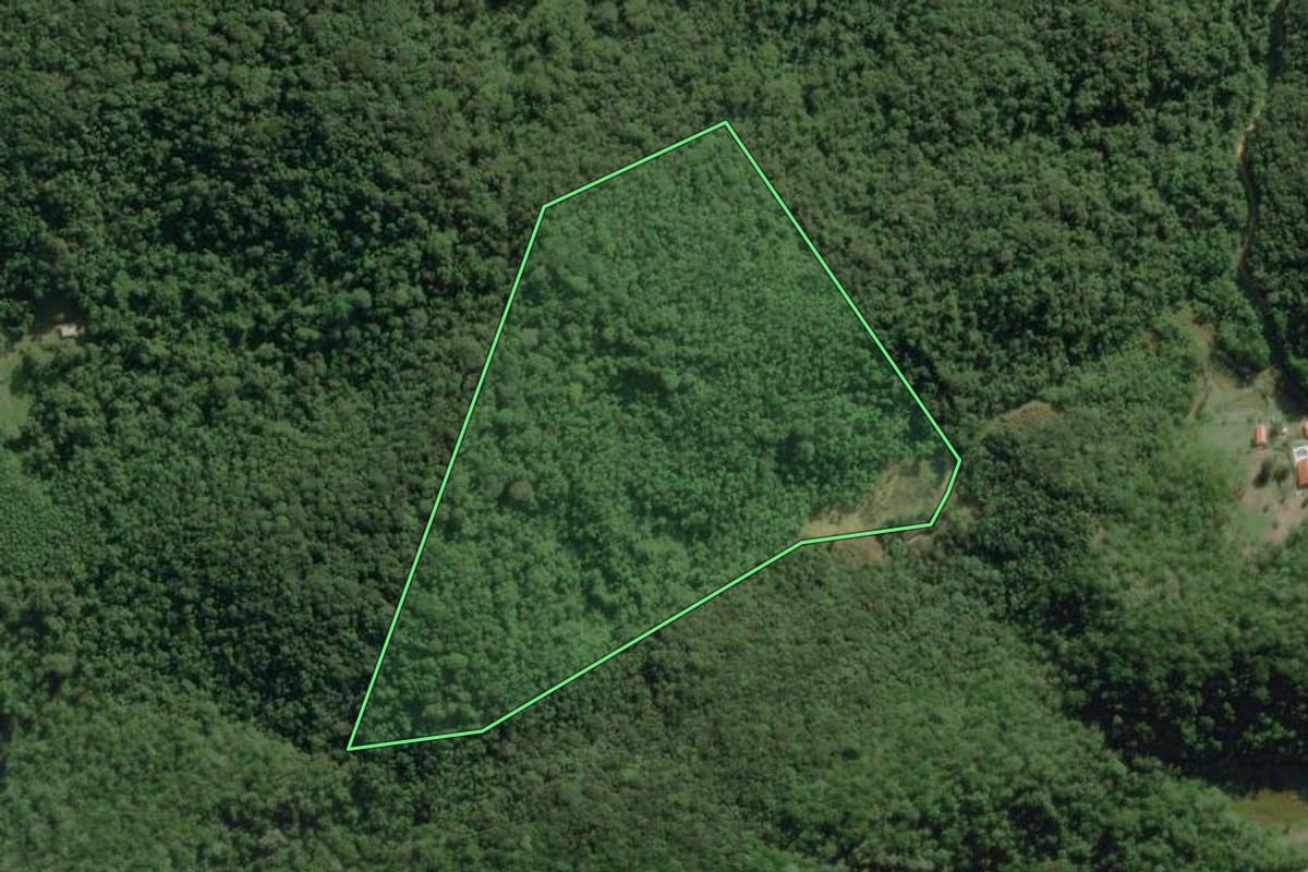 Imagem de satélite do imóvel rural em Tapiraí (SP), com o contorno declarado no CAR desenhado por cima.