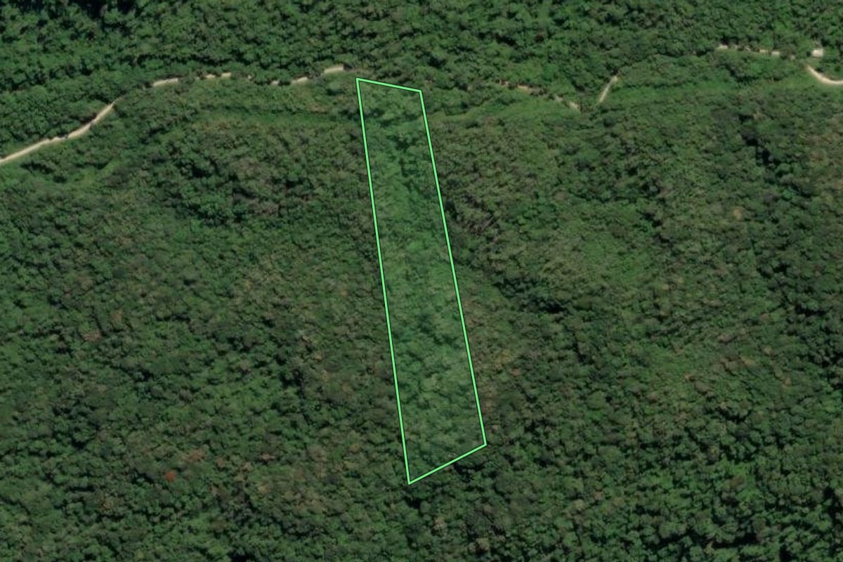 Imagem de satélite do imóvel rural em Tapiraí (SP), com o contorno declarado no CAR desenhado por cima.