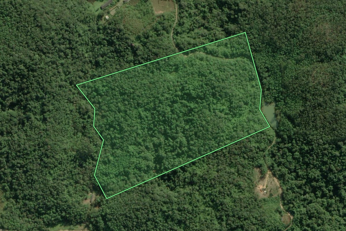 Imagem de satélite do imóvel rural em Tapiraí (SP), com o contorno declarado no CAR desenhado por cima.