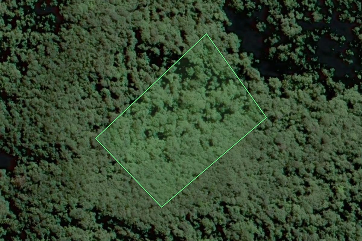 Imagem de satélite do imóvel rural em Tapiraí (SP), com o contorno declarado no CAR desenhado por cima.