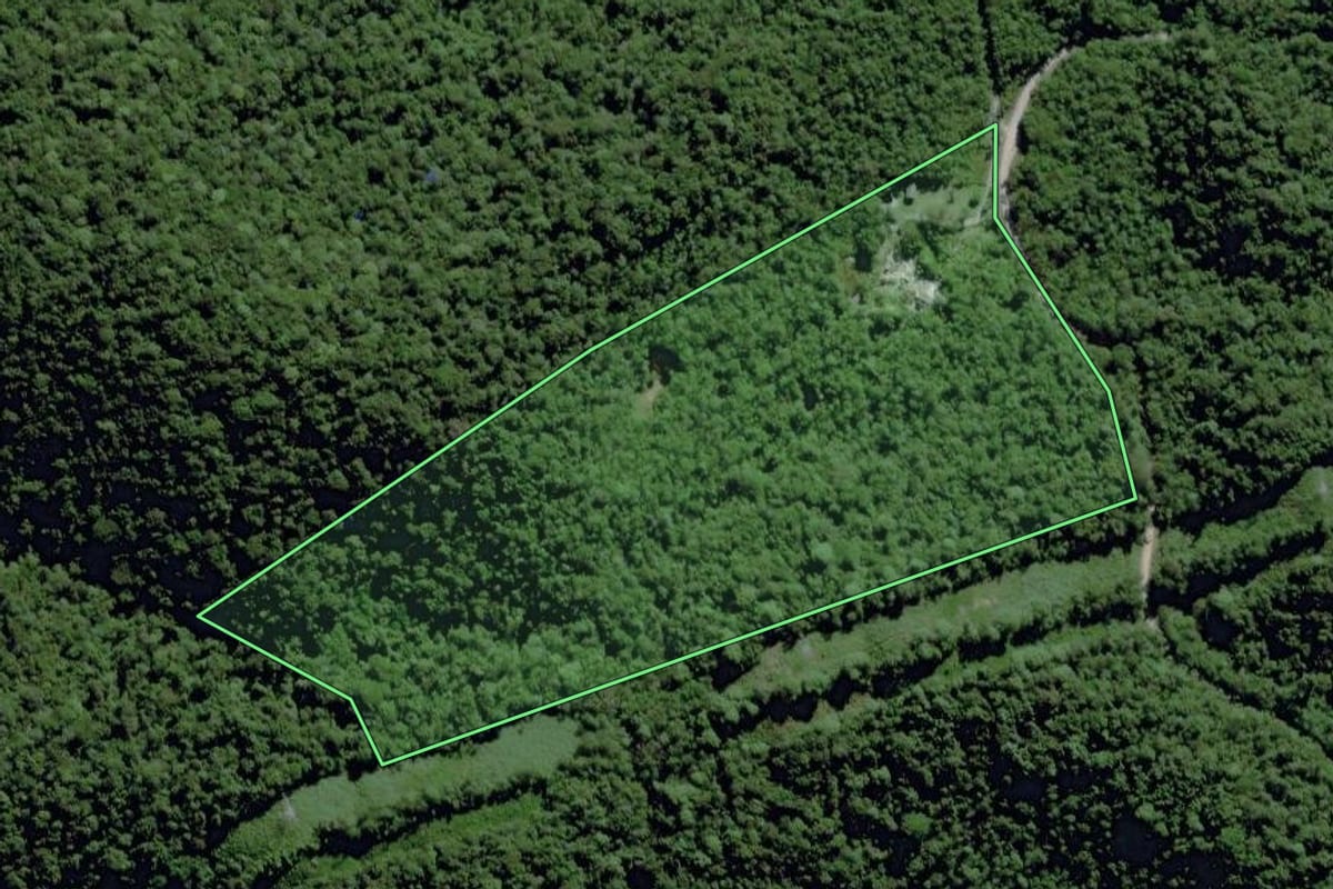Imagem de satélite do imóvel rural em Tapiraí (SP), com o contorno declarado no CAR desenhado por cima.