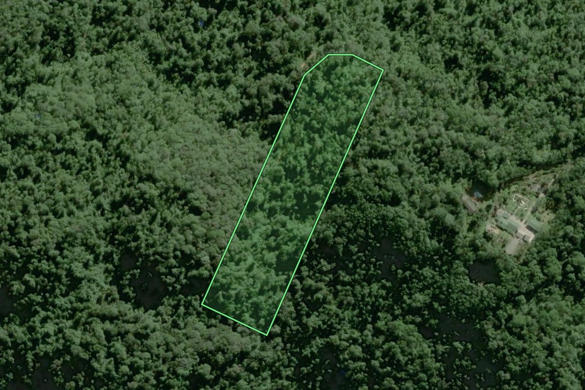 Imagem de satélite do imóvel rural em Tapiraí (SP), com o contorno declarado no CAR desenhado por cima.