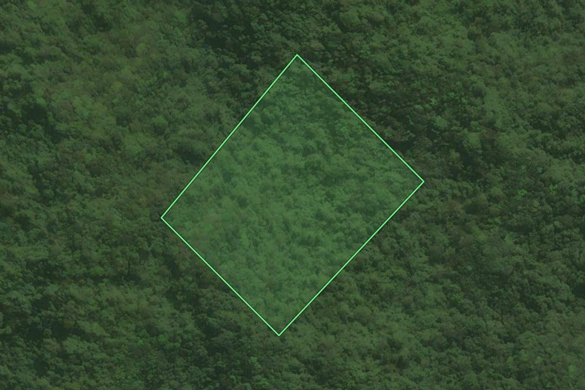 Imagem de satélite do imóvel rural em Tapiraí (SP), com o contorno declarado no CAR desenhado por cima.