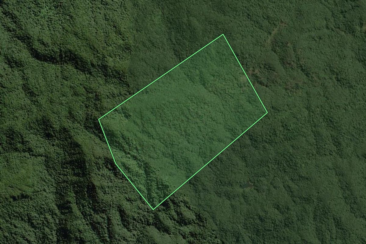 Imagem de satélite do imóvel rural em Tapiraí (SP), com o contorno declarado no CAR desenhado por cima.