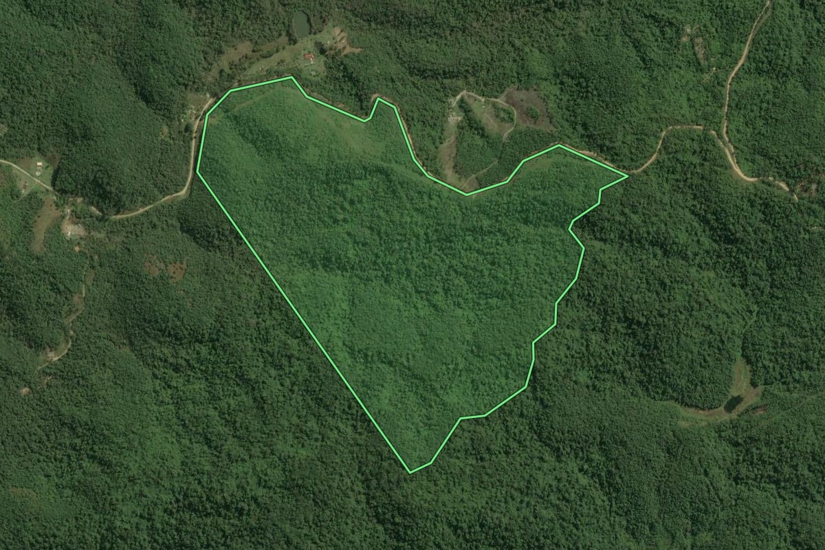 Imagem de satélite do imóvel rural em Tapiraí (SP), com o contorno declarado no CAR desenhado por cima.