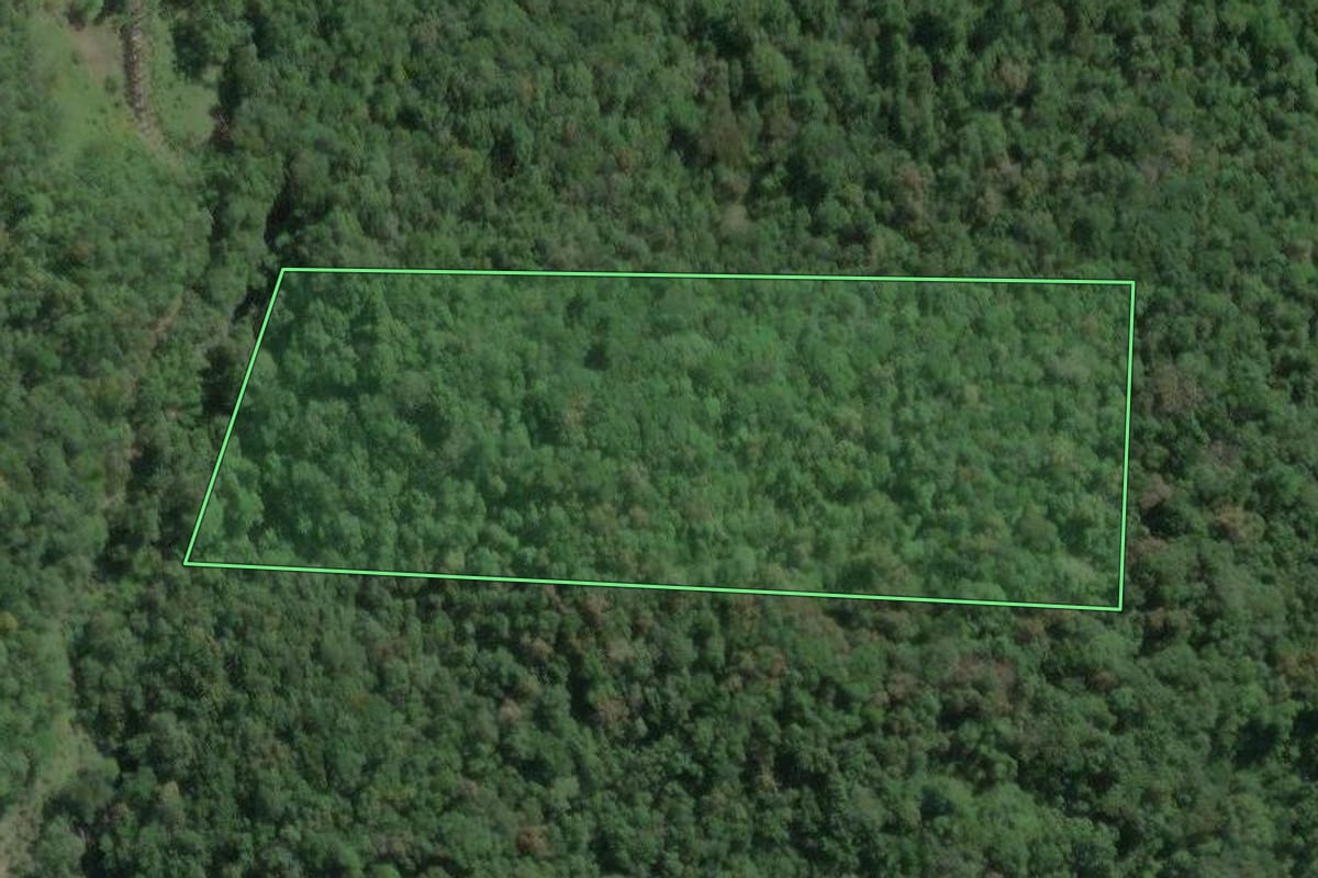 Imagem de satélite do imóvel rural em Tapiraí (SP), com o contorno declarado no CAR desenhado por cima.