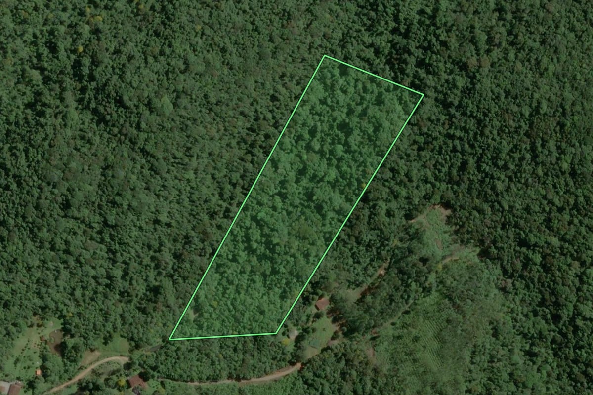 Imagem de satélite do imóvel rural em Tapiraí (SP), com o contorno declarado no CAR desenhado por cima.