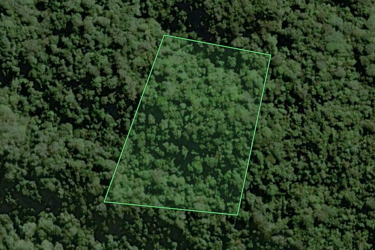 Imagem de satélite do imóvel rural em Tapiraí (SP), com o contorno declarado no CAR desenhado por cima.