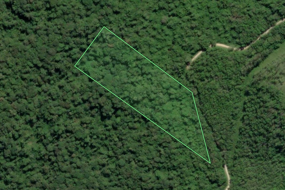 Imagem de satélite do imóvel rural em Tapiraí (SP), com o contorno declarado no CAR desenhado por cima.
