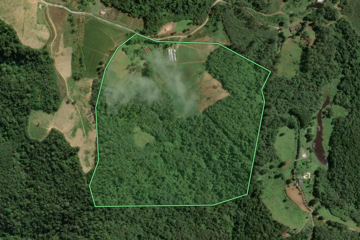 Imagem de satélite do imóvel rural em Tapiraí (SP), com o contorno declarado no CAR desenhado por cima.