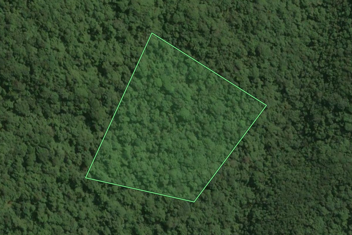 Imagem de satélite do imóvel rural em Tapiraí (SP), com o contorno declarado no CAR desenhado por cima.