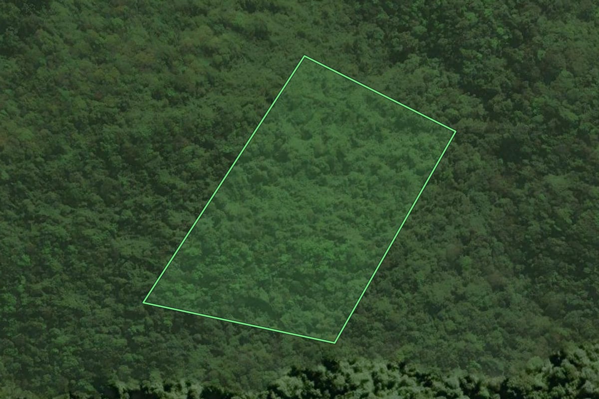 Imagem de satélite do imóvel rural em Tapiraí (SP), com o contorno declarado no CAR desenhado por cima.