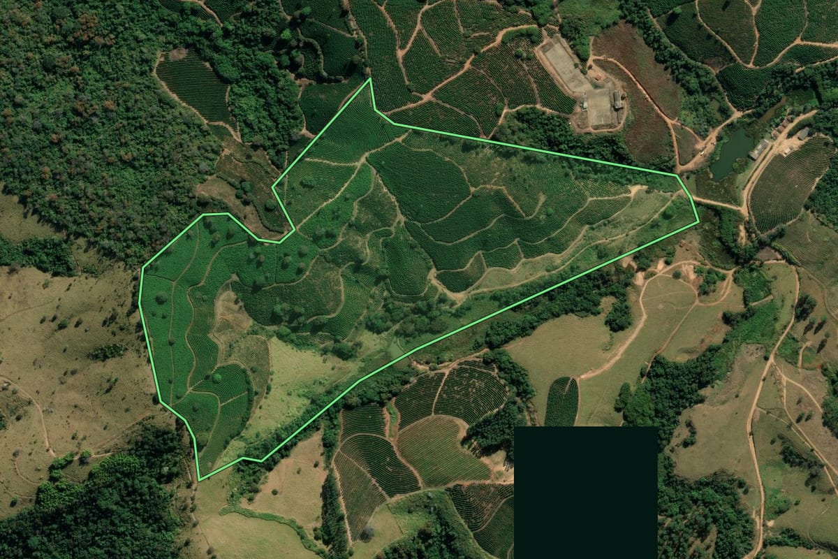 Imagem de satélite do imóvel rural em Tapiratiba (SP), com o contorno declarado no CAR desenhado por cima.