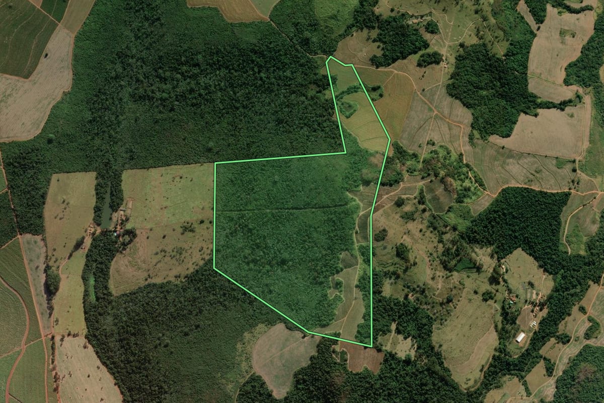 Imagem de satélite do imóvel rural em Tapiratiba (SP), com o contorno declarado no CAR desenhado por cima.