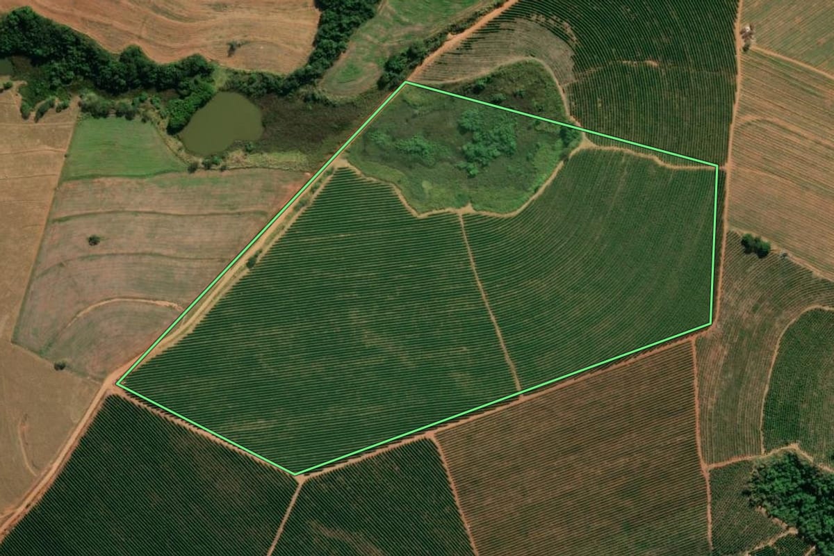 Imagem de satélite do imóvel rural em Tapiratiba (SP), com o contorno declarado no CAR desenhado por cima.