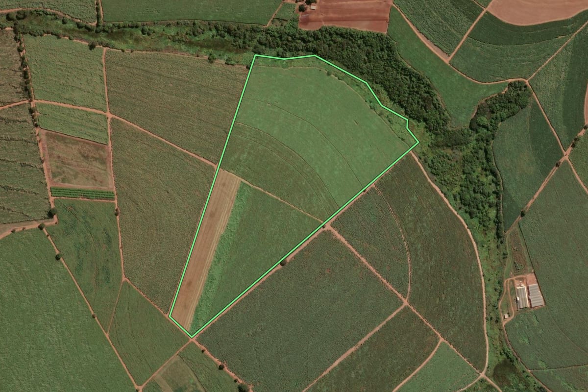 Imagem de satélite do imóvel rural em Taquaral (SP), com o contorno declarado no CAR desenhado por cima.