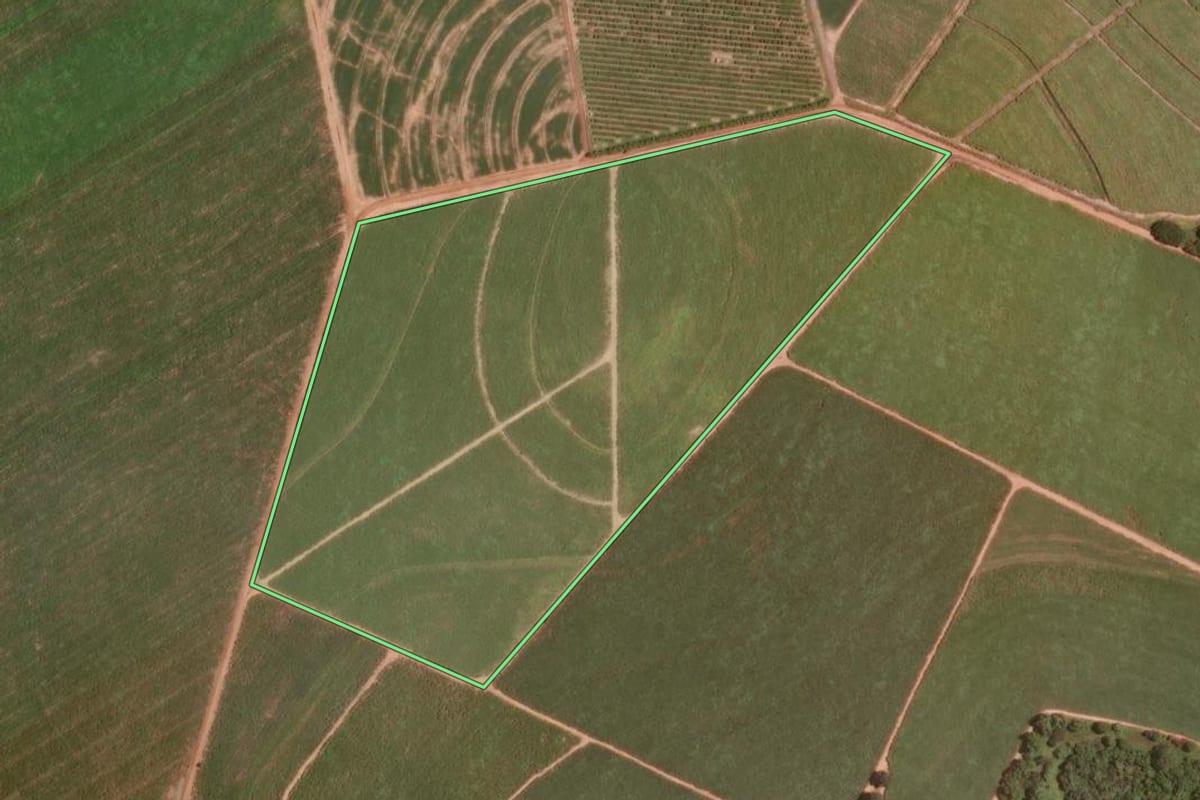 Imagem de satélite do imóvel rural em Taquaral (SP), com o contorno declarado no CAR desenhado por cima.
