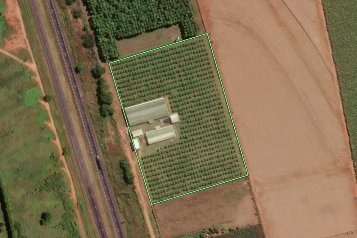 Imagem de satélite do imóvel rural em Taquaral (SP), com o contorno declarado no CAR desenhado por cima.