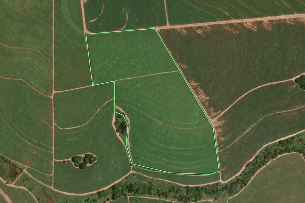 Imagem de satélite do imóvel rural em Taquaral (SP), com o contorno declarado no CAR desenhado por cima.