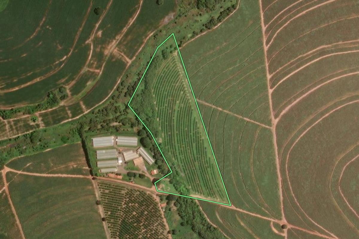 Imagem de satélite do imóvel rural em Taquaral (SP), com o contorno declarado no CAR desenhado por cima.