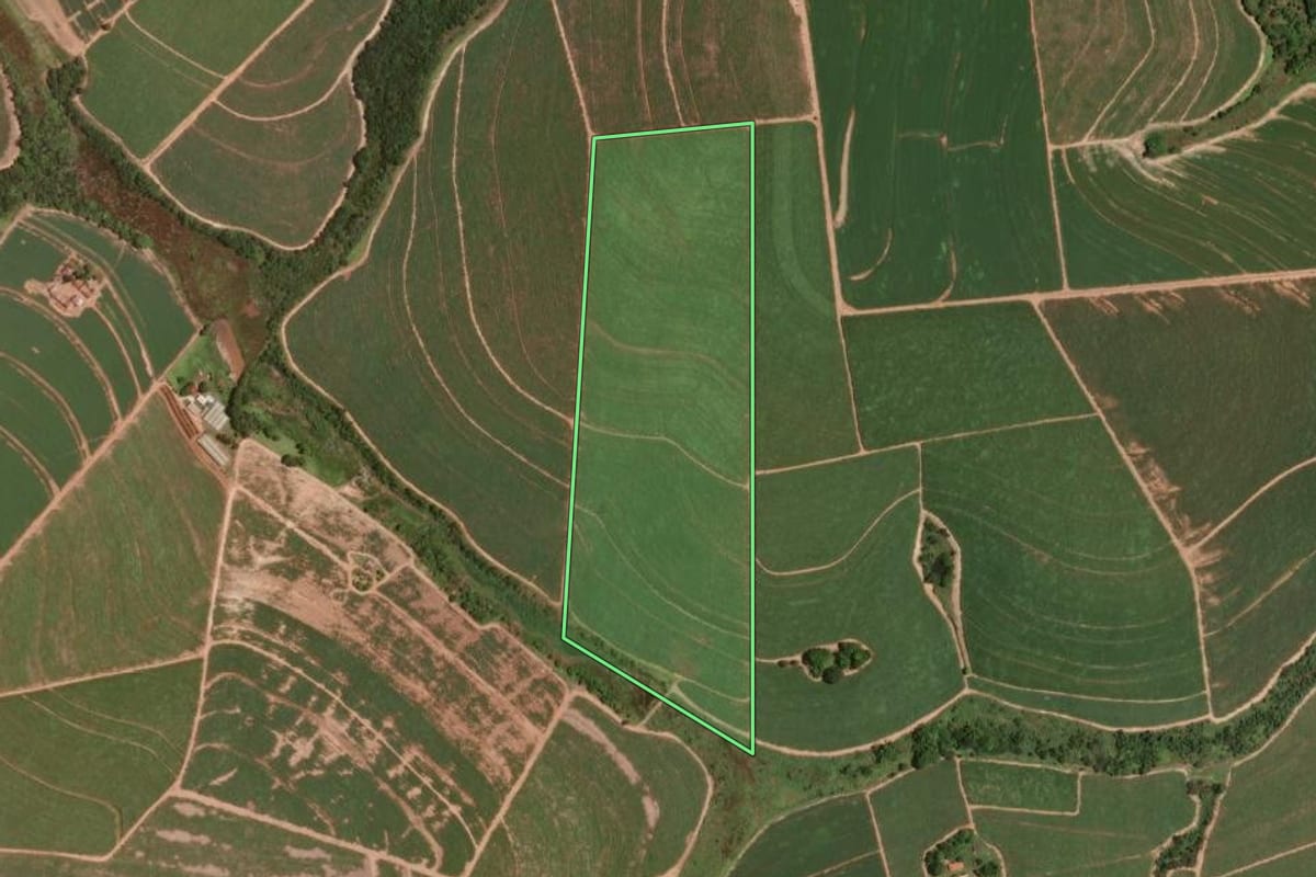 Imagem de satélite do imóvel rural em Taquaral (SP), com o contorno declarado no CAR desenhado por cima.
