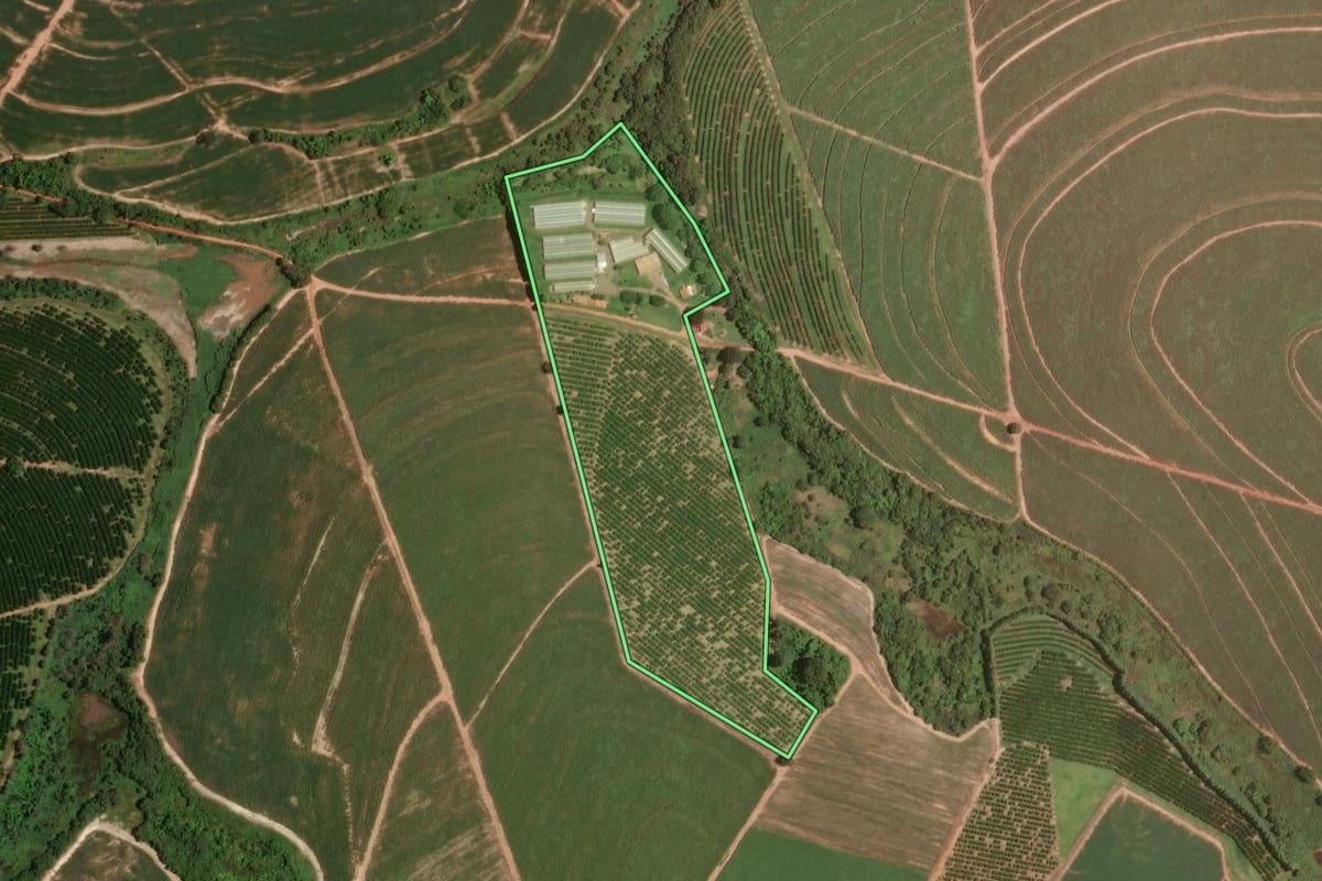 Imagem de satélite do imóvel rural em Taquaral (SP), com o contorno declarado no CAR desenhado por cima.