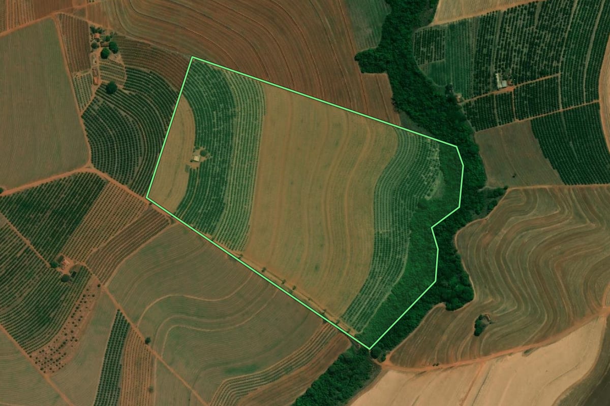 Imagem de satélite do imóvel rural em Taquaritinga (SP), com o contorno declarado no CAR desenhado por cima.