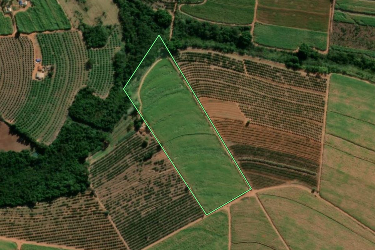 Imagem de satélite do imóvel rural em Taquaritinga (SP), com o contorno declarado no CAR desenhado por cima.