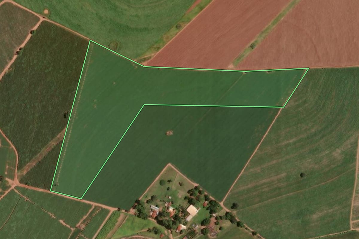 Imagem de satélite do imóvel rural em Taquaritinga (SP), com o contorno declarado no CAR desenhado por cima.