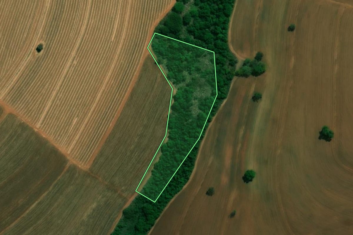 Imagem de satélite do imóvel rural em Taquaritinga (SP), com o contorno declarado no CAR desenhado por cima.