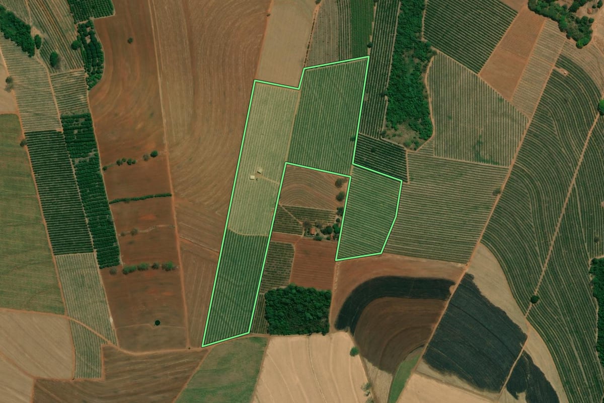 Imagem de satélite do imóvel rural em Taquaritinga (SP), com o contorno declarado no CAR desenhado por cima.