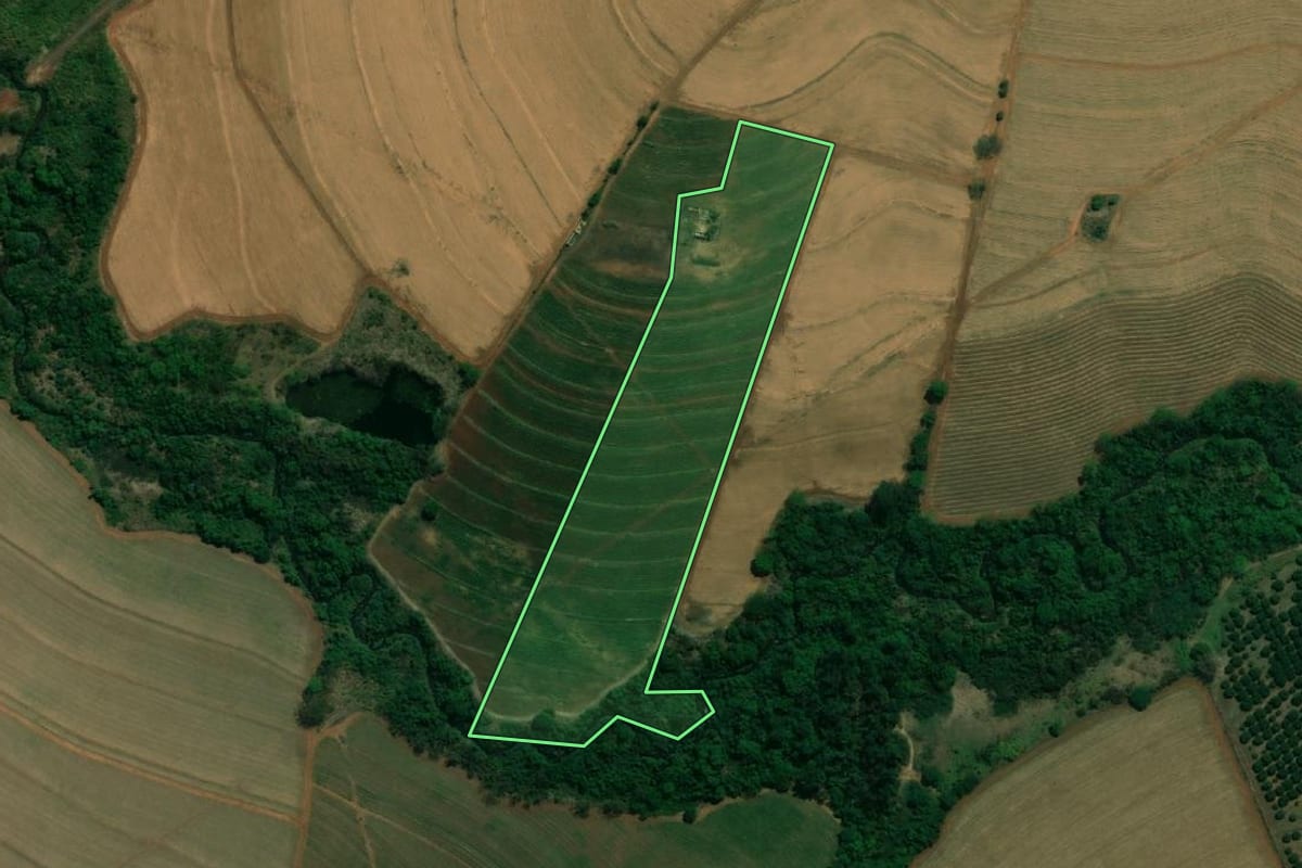 Imagem de satélite do imóvel rural em Taquaritinga (SP), com o contorno declarado no CAR desenhado por cima.