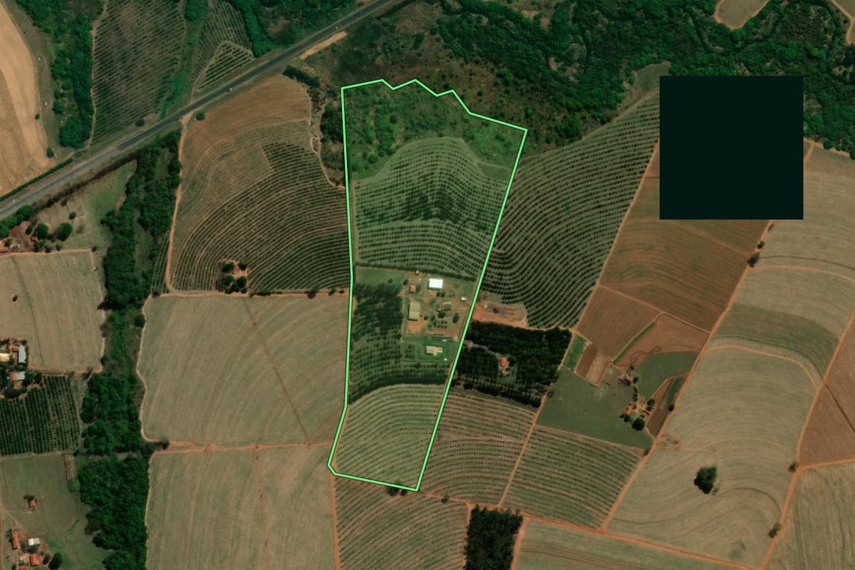 Imagem de satélite do imóvel rural em Taquaritinga (SP), com o contorno declarado no CAR desenhado por cima.