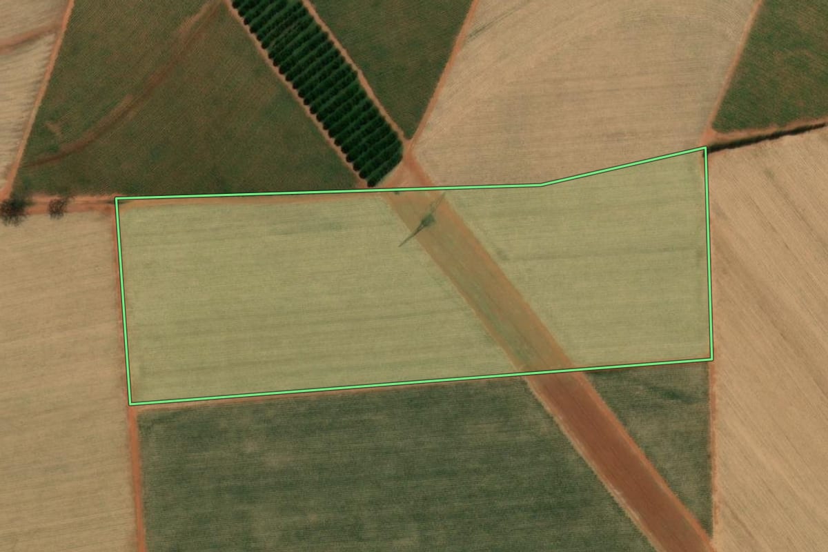 Imagem de satélite do imóvel rural em Taquaritinga (SP), com o contorno declarado no CAR desenhado por cima.