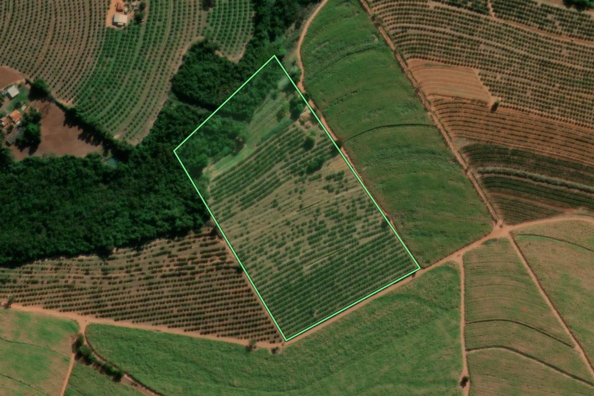 Imagem de satélite do imóvel rural em Taquaritinga (SP), com o contorno declarado no CAR desenhado por cima.