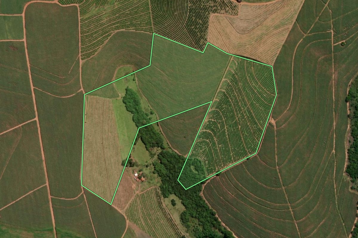 Imagem de satélite do imóvel rural em Taquaritinga (SP), com o contorno declarado no CAR desenhado por cima.
