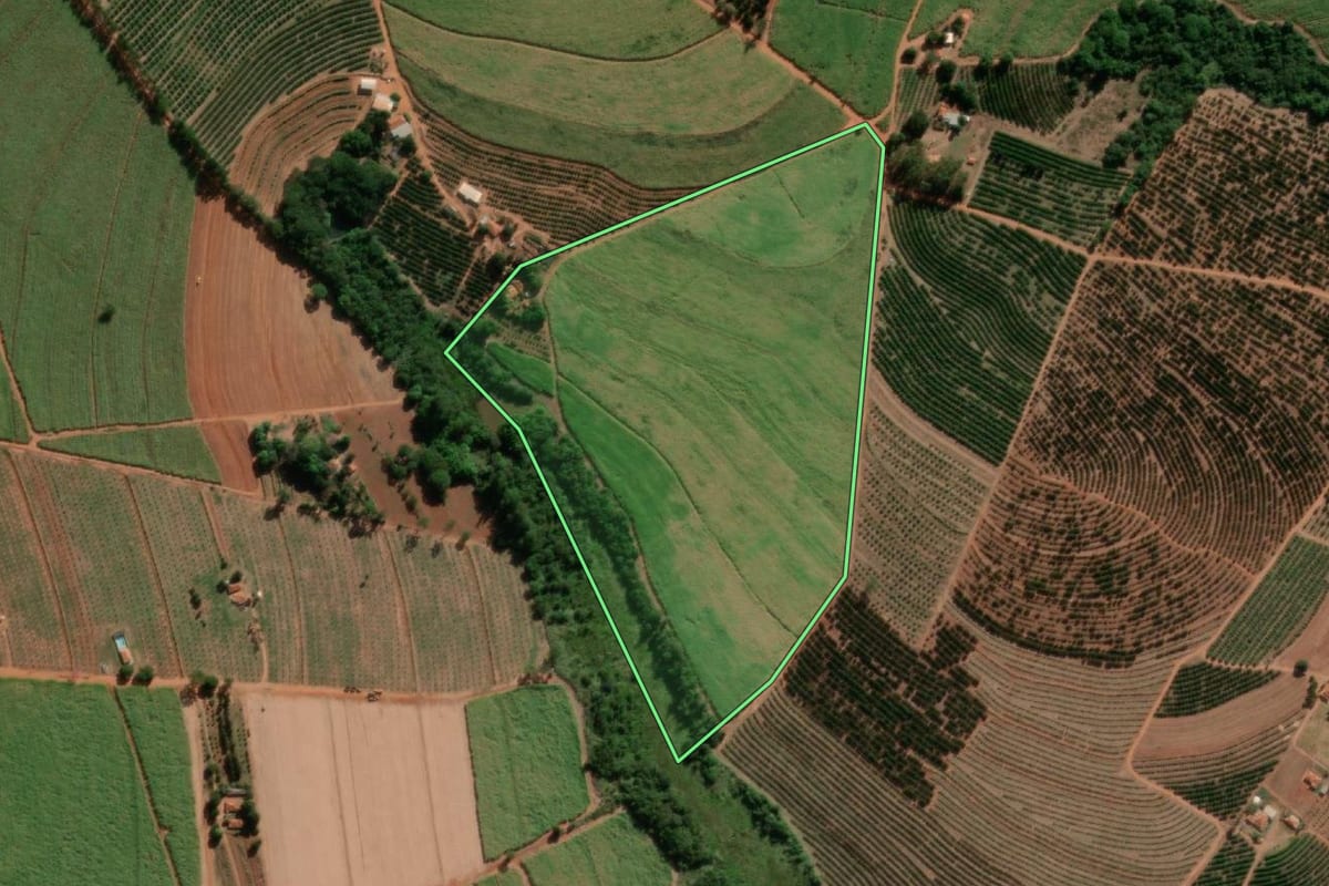 Imagem de satélite do imóvel rural em Taquaritinga (SP), com o contorno declarado no CAR desenhado por cima.
