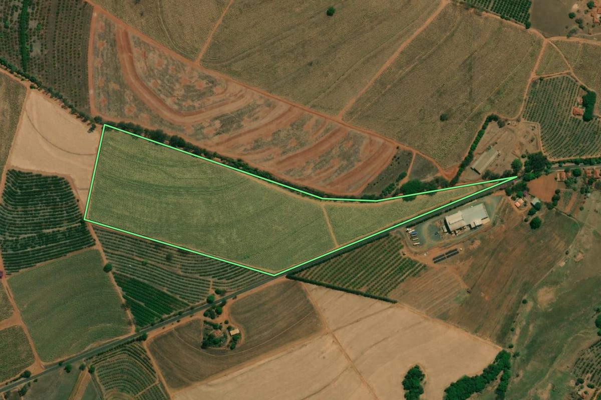 Imagem de satélite do imóvel rural em Taquaritinga (SP), com o contorno declarado no CAR desenhado por cima.