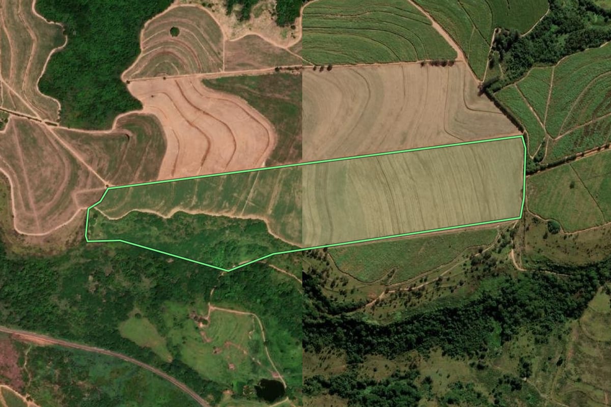 Imagem de satélite do imóvel rural em Taquaritinga (SP), com o contorno declarado no CAR desenhado por cima.