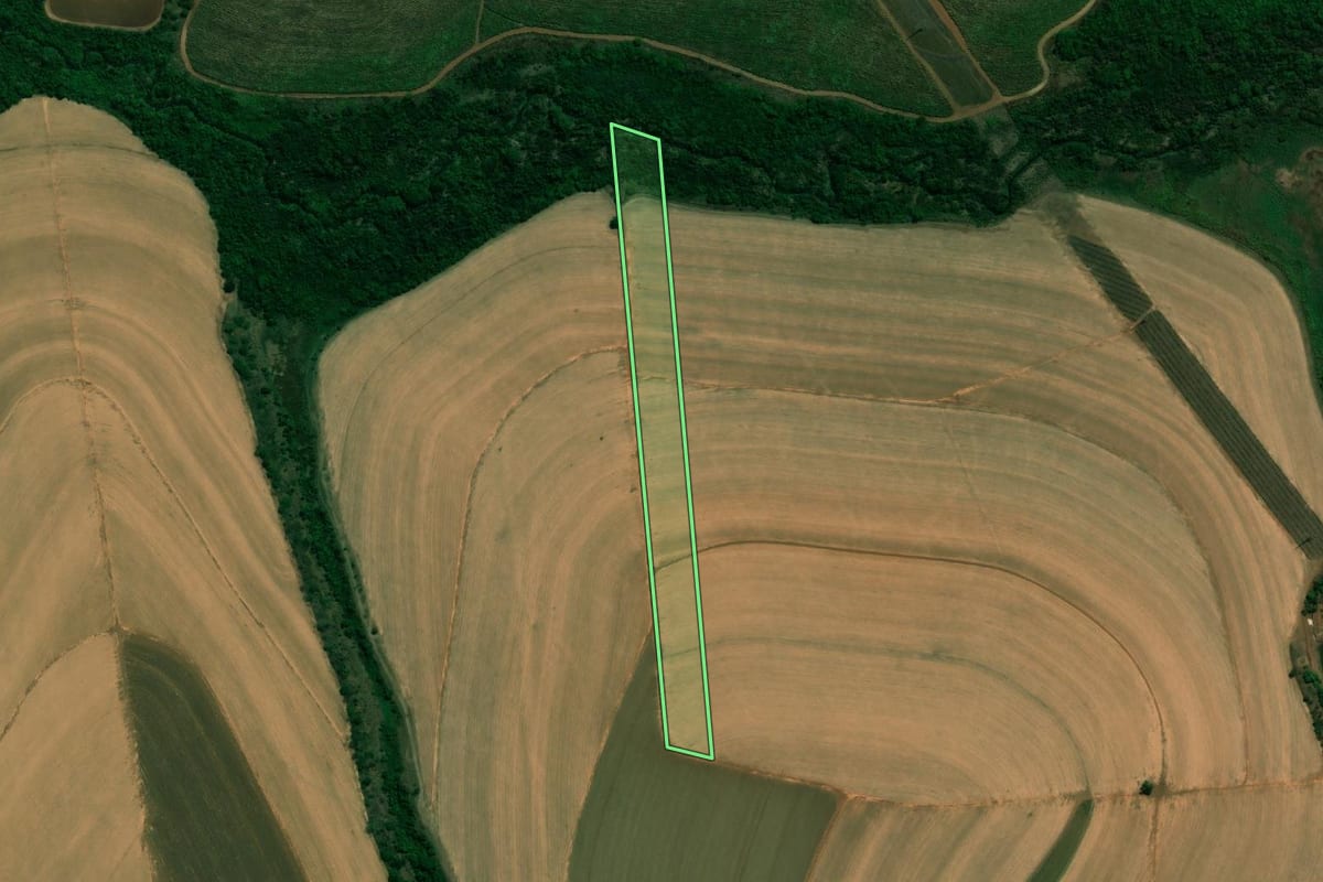 Imagem de satélite do imóvel rural em Taquaritinga (SP), com o contorno declarado no CAR desenhado por cima.