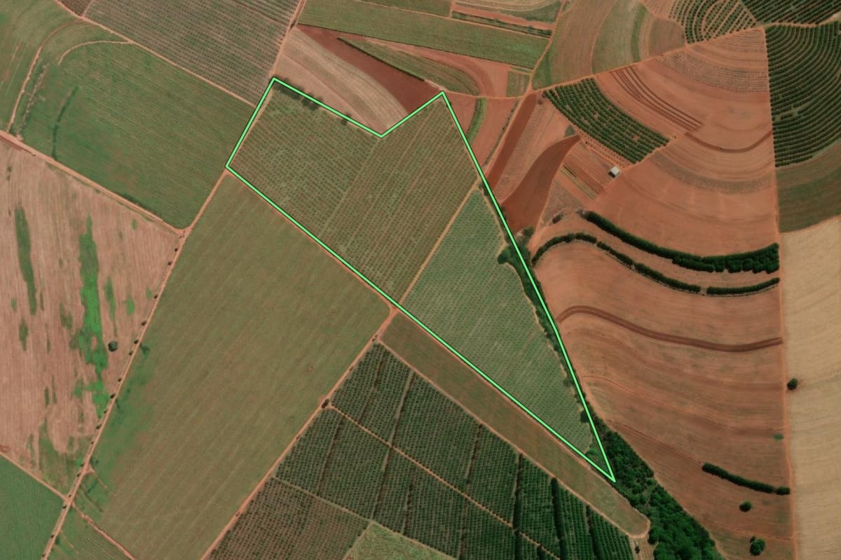 Imagem de satélite do imóvel rural em Taquaritinga (SP), com o contorno declarado no CAR desenhado por cima.