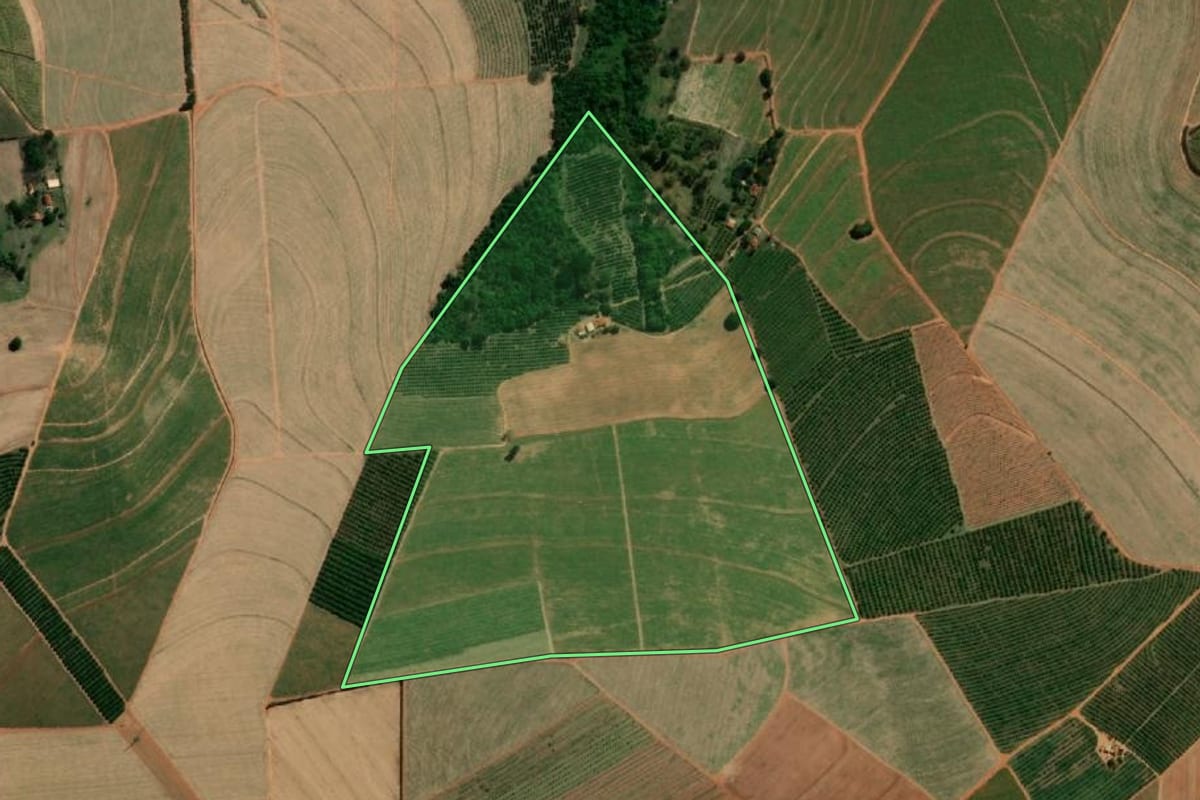 Imagem de satélite do imóvel rural em Taquaritinga (SP), com o contorno declarado no CAR desenhado por cima.