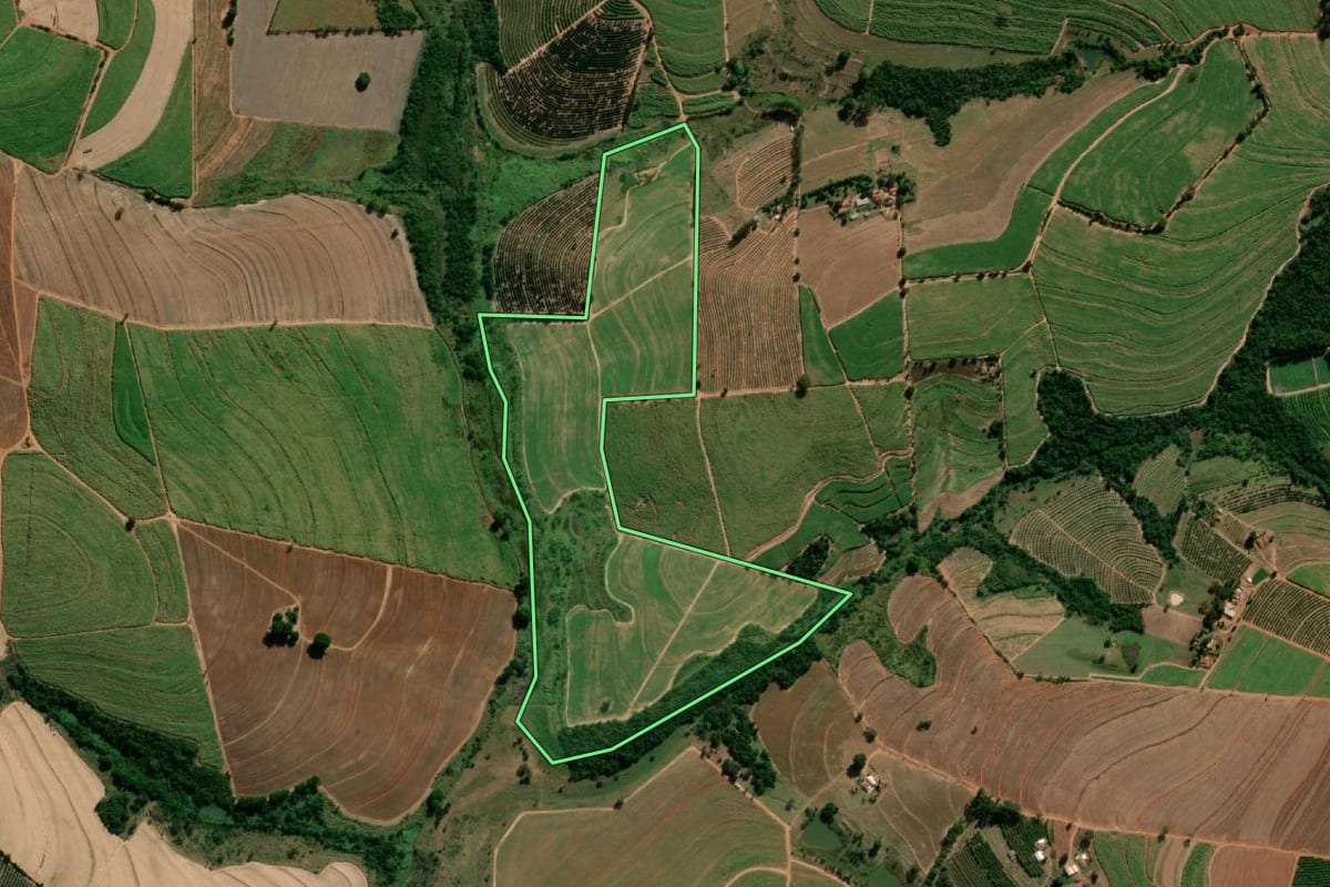 Imagem de satélite do imóvel rural em Taquaritinga (SP), com o contorno declarado no CAR desenhado por cima.